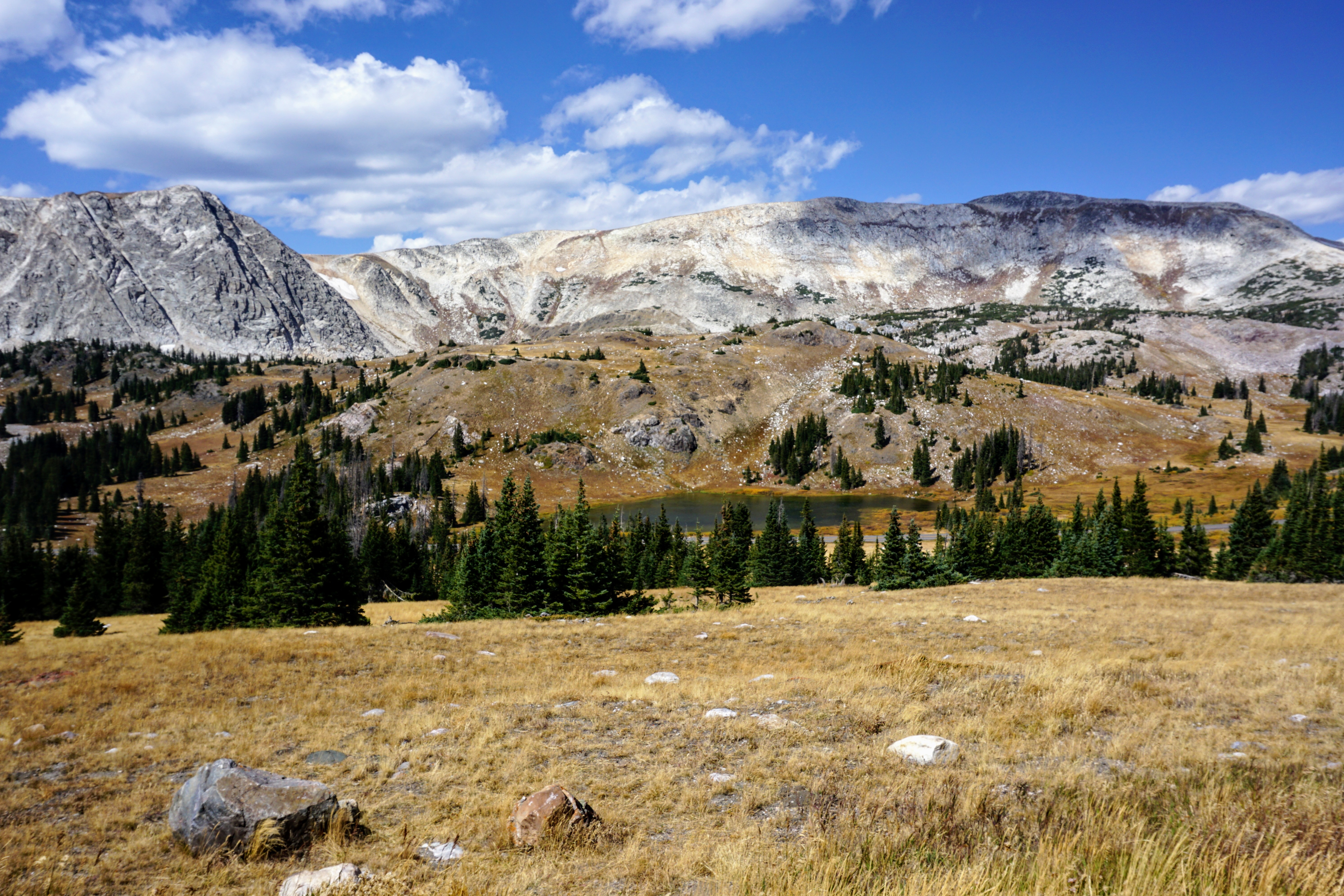 Snowy Range peaks in the Medicine Bow Mountains, Wyoming, with an alpine meadow and pine trees in the foreground.