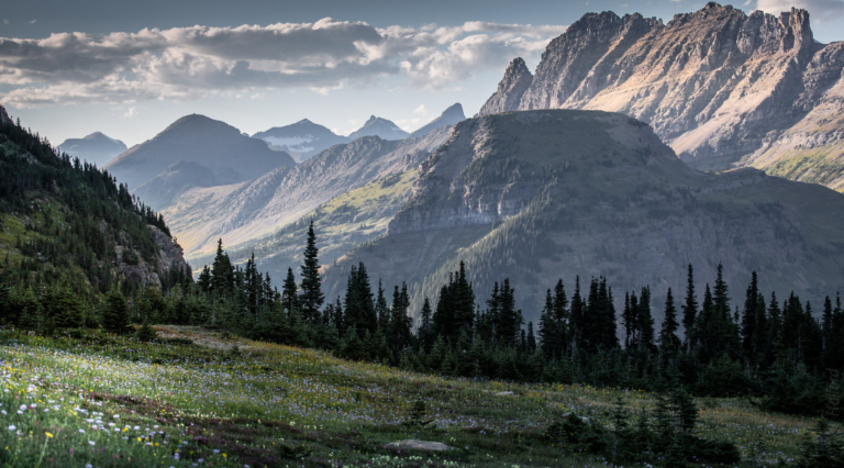 The Sour Spirit and How He Became Famous in Montana