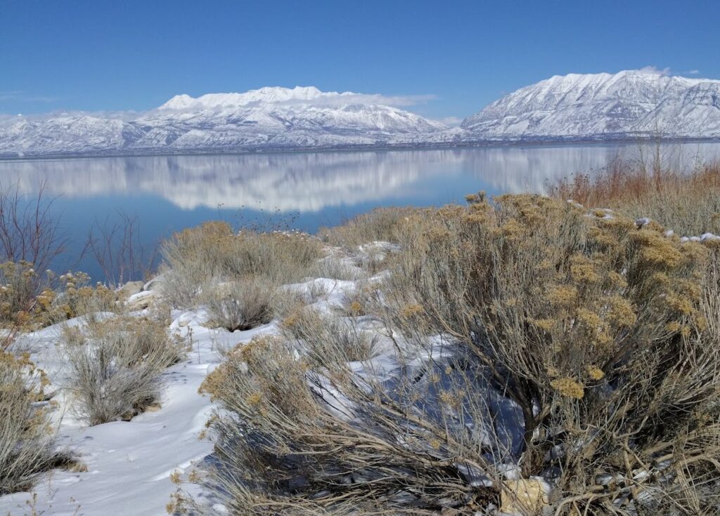 Mt. Timpanogos reflected in Utah Lake after a snow storm.