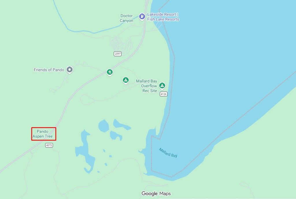 A map showing the location of Pando aspen grove near Fish Lake in Utah's Fishlake National Forest.