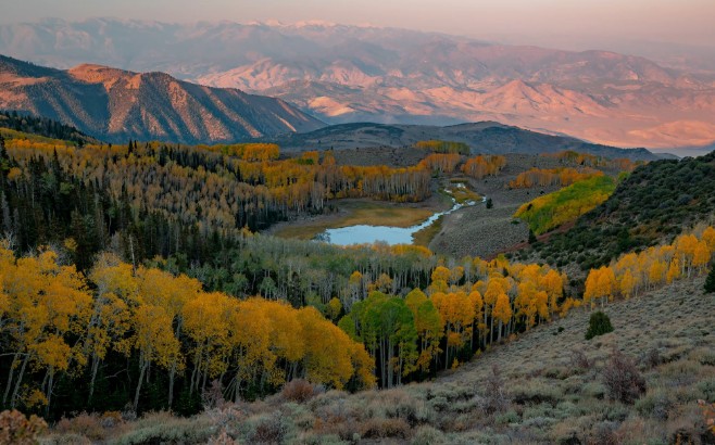 Scenic autumn view looking northeast across the Pando quaking aspen grove and mountains in Utah.