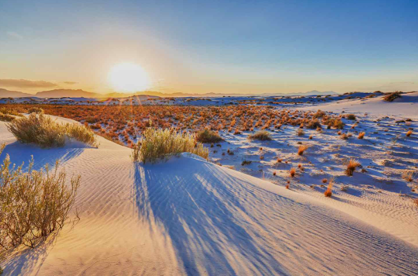 This image showcases the white gypsum sand dunes of White Sands National Park located in New Mexico.