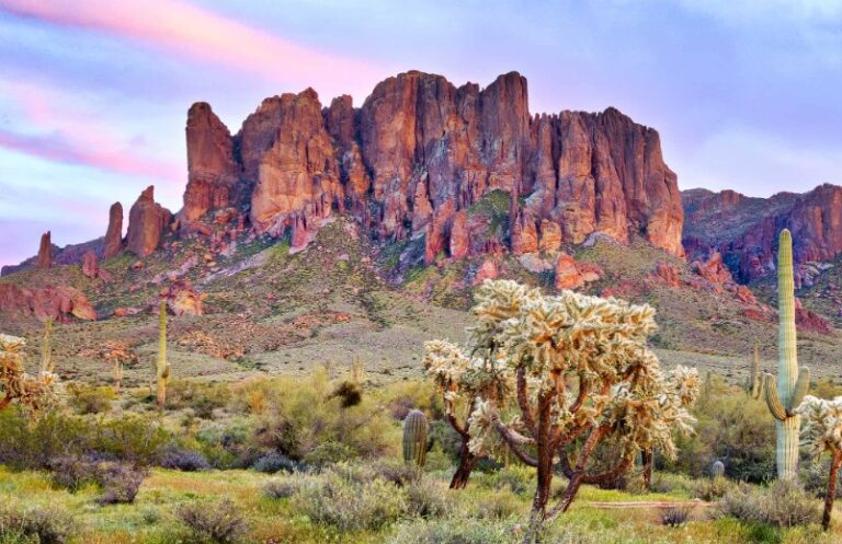 Superstition Mountains landscape with saguaro cacti in Arizona at sunset