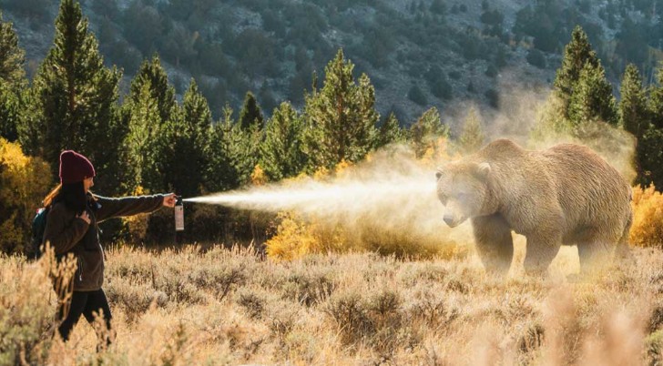 Hiker deploying a cloud of bear spray to keep an approaching bear away.