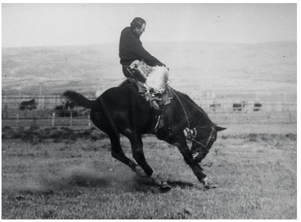 Historical photograph of Guy Holt riding Steamboat at the Albany County Fair in 1903.